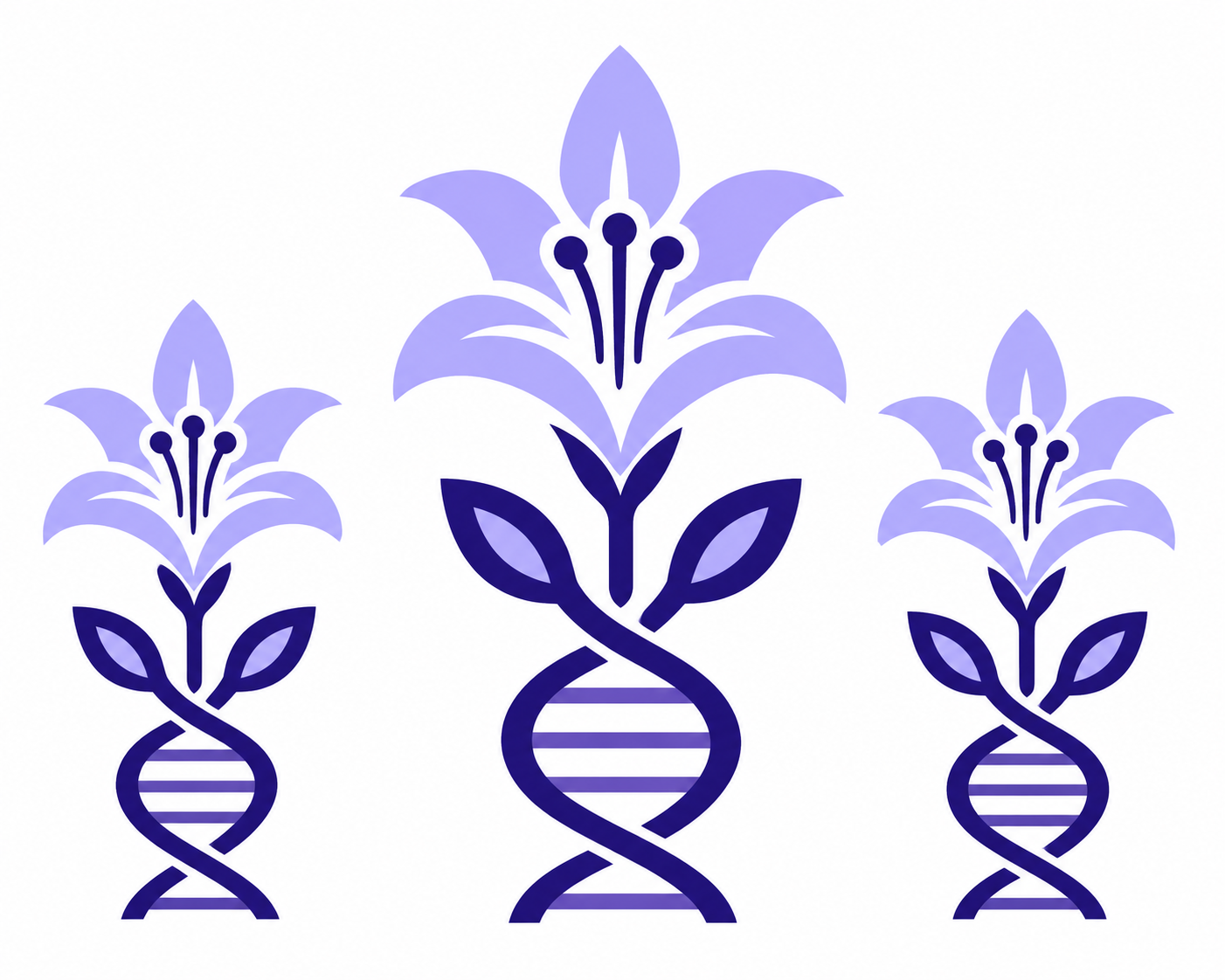 Mindful Research